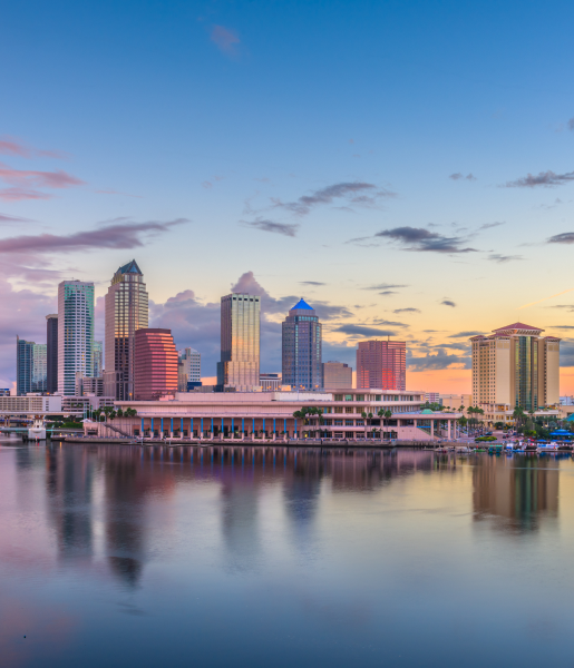 The Florida Insight