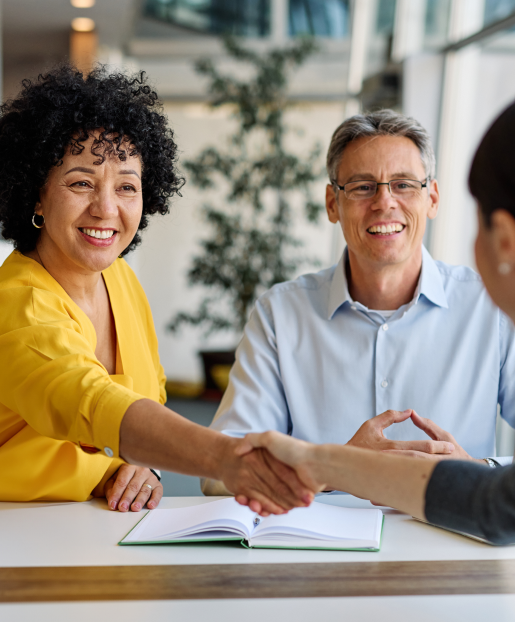 Transition Governance: Preparing the Family and the Business