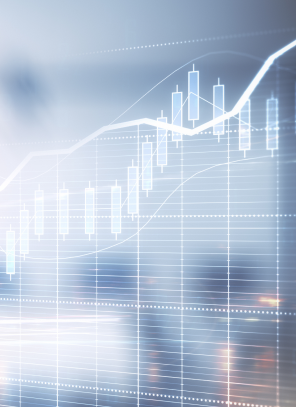 Managing Concentrated Stock Liquidity